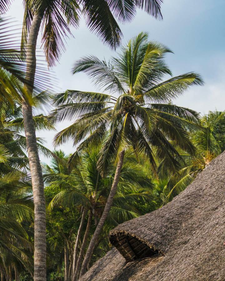 Diani Sea Lodge Diani Beach Luaran gambar